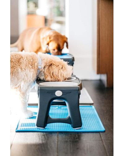 Миска двойная для животных Dexas Adjustable 2хPet Feeder со стали с регулируемыми ножками 960 мл (PW120432SS)
