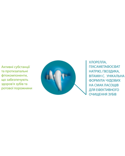 Напіввологі ласощі Canvit Dental для щоденного догляду за зубами та ротовою порожниною собак 200 г (can508808)