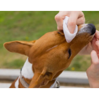 Серветки Espree Aloe Ear Care Pet Wipes для вух собак та котів 60 шт (e01277)