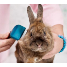 Вологі серветки Espree Small Animal Wipes для дрібних тварин 50 шт (e00751)