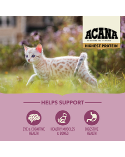 Сухий корм для кошенят всіх порід ACANA Highest Protein Kitten 1,8 кг (a72325)