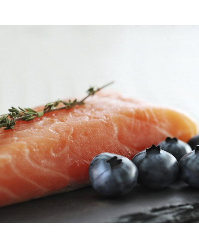 Корм для взрослых собак ORYGO Salmon с лососем и черникой полувлажный (200г х18) 3,6 кг (ORYGD030000946)