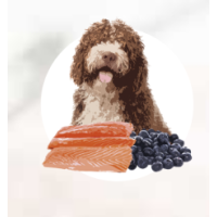 Корм для дорослих собак ORYGO Salmon з лососем та чорницею напіввологий 8 кг (ORYGD030000947)