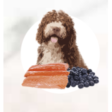 Корм для дорослих собак ORYGO Salmon з лососем та чорницею напіввологий 200 г (ORYGD030000946/1)