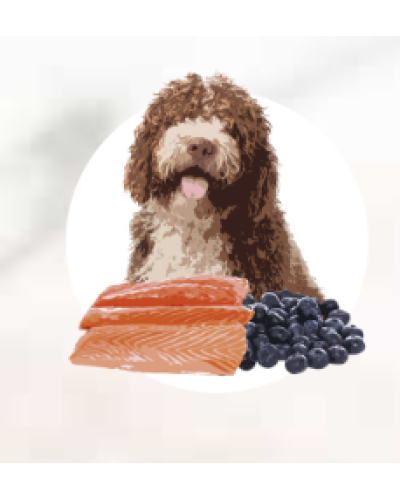 Повнораціонний вологий корм Orygo Salmon Pate з лососем та чорницею для дорослих собак 400 г (ORYGD060003212)