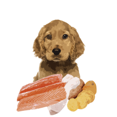 Повнораціонний вологий корм Orygo Puppies Pate з лососем та бататом для цуценят 400 г (ORYGD060030012)