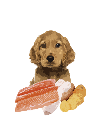Полнорационный влажный корм Orygo Puppies Pate с лососем и бататом для щенков 400 г (ORYGD060030012)