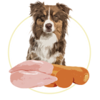 Повнораціонний вологий корм Orygo Chicken Pate з курятиною та морквою для дорослих собак 400 г (ORYGD060008912)