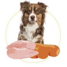 Повнораціонний вологий корм Orygo Chicken Pate з курятиною та морквою для дорослих собак 400 г (ORYGD060008912)
