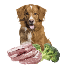 Повнораціонний вологий корм Orygo Pork Pate зі свининою та броколі для дорослих собак 400 г (ORYGD060009112)