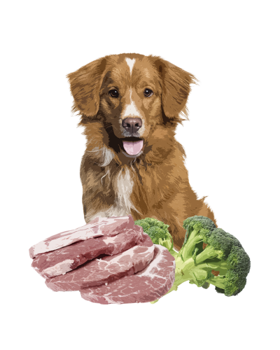 Полнорационный влажный корм Orygo Pork Pate со свининой и брокколи для взрослых собак 400 г (ORYGD060009112)