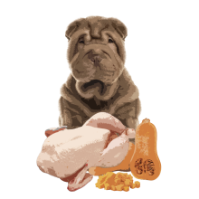 Повнораціонний вологий корм Orygo Turkey Pate з індичкою та гарбузом для дорослих собак 400 г (ORYGD060009012)