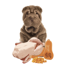 Повнораціонний вологий корм Orygo Turkey Pate з індичкою та гарбузом для дорослих собак 400 г (ORYGD060009012)