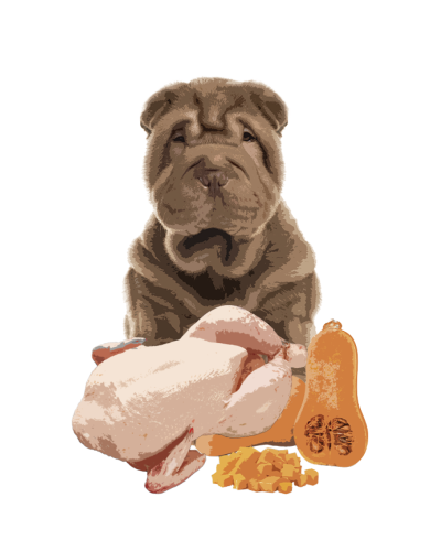 Повнораціонний вологий корм Orygo Turkey Pate з індичкою та гарбузом для дорослих собак 400 г (ORYGD060009012)