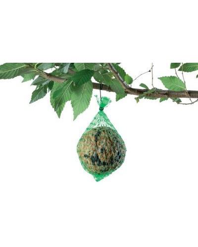 Комплексний корм для диких птахів Padovan Fatball ФетБолл 88 г (PP00382)