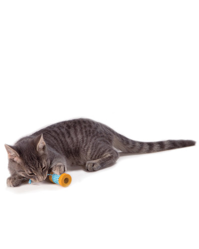 Іграшка для котів Petstages Orka Spool Йо-йо з м'ятою 4х5х4 см (pt313)