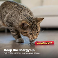 Іграшка для котів Catstages Green Magic Dynamite Stick Динаміт з котячою м'ятою 3х3х17 см (pt651)