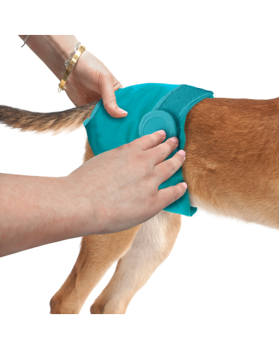 Гігієнічні труси для собак Simple Solution Washable Diaper Small (ss10595)
