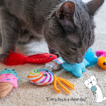 Набор игрушек для кошек Catstages Kitty Sweet Treats Toys с кошачьей мятой 6 шт 10×2,5 см (pt70915)