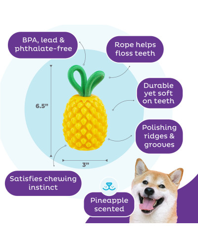 Игрушка для собак Outward Hound Pineapple (Ананас) жевательная для лакомств 16×7 см (oh71492)
