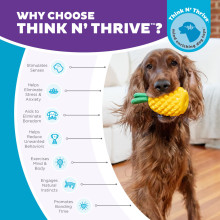 Игрушка для собак Outward Hound Pineapple (Ананас) жевательная для лакомств 16×7 см (oh71492)