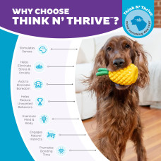 Іграшка для собак Outward Hound Pineapple (Ананас) жувальна для ласощів 16х7 см (oh71492)