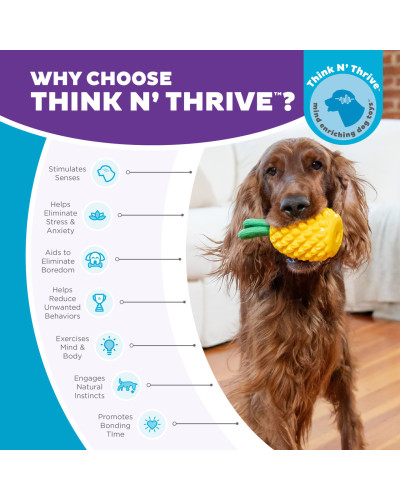 Игрушка для собак Outward Hound Pineapple (Ананас) жевательная для лакомств 16×7 см (oh71492)