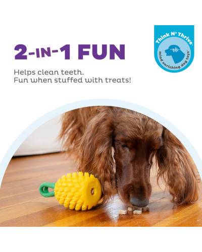 Игрушка для собак Outward Hound Pineapple (Ананас) жевательная для лакомств 16×7 см (oh71492)