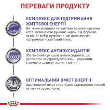 Вологий корм для зрілих котів ROYAL CANIN MATURE CONSULT 85 г