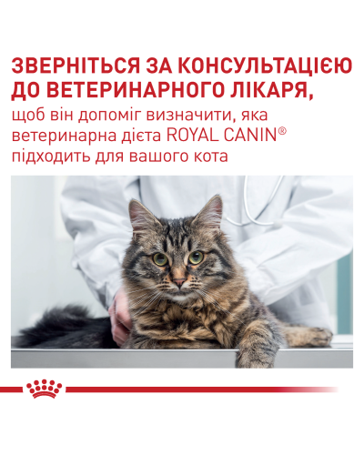 Вологий корм для зрілих котів ROYAL CANIN MATURE CONSULT 85 г
