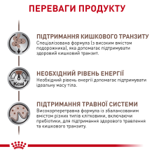 Влажный корм для взрослых кошек ROYAL CANIN GASTROINTESTINAL FIBRE RESPONSE 85 г