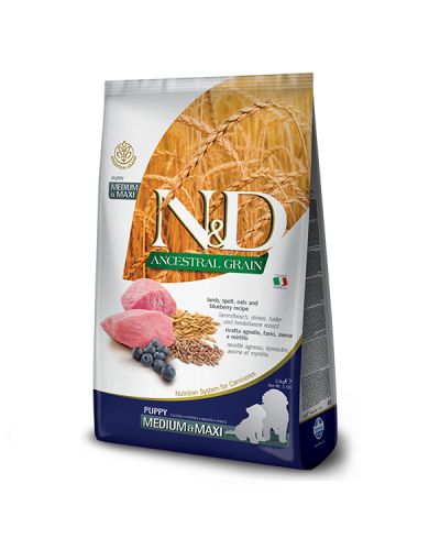 Сухой корм для щенков cредних и крупных пород Farmina N&D Low Grain LAMB & BLUEBERRY PUPPY MEDIUM & MAXI 2,5 kg 33710