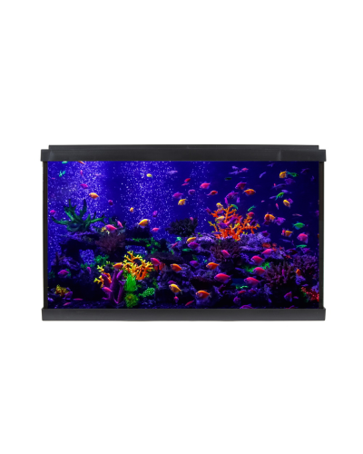 Р АКВАРИУМ PalaceGlow WPG 60 (593х308х366, 56л, фильтр, свет LED 10W белый/лунный), шт