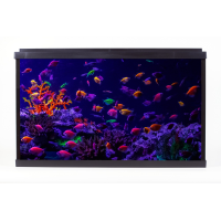 Р АКВАРИУМ PalaceGlow WPG 40 (515х260х320, 40л, фильтр, свет LED белый/лунный), шт