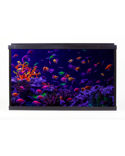 Р АКВАРИУМ PalaceGlow WPG 40 (515х260х320, 40л, фильтр, свет LED белый/лунный), шт