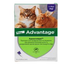 Краплі Elanco (Bayer) Advantage від бліх для кішок та кроликів від 4 кг