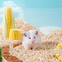 Animall Наповнювач кукурудзяний для гризунів, 1кг