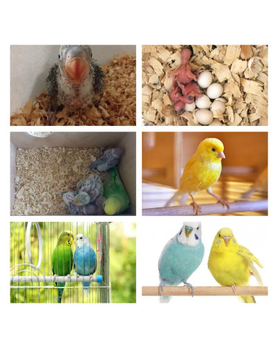 Наповнювач для гризунів Padovan Wood chips Lemon Деревний вбирний 1 кг (14 л) (PP00171)