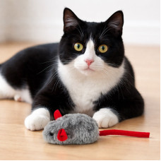 AnimAll Фан Игрушка для кошек "Mouse" (Х/72/Х)