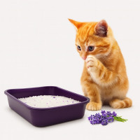 Наповнювач для котячого туалету Padovan Silicat Lavender з силагелевою лавандою 5л/2.2кг (PP00499)