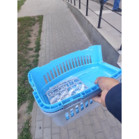 Переноска для котів та собак Анімал сіро-блакитна CNR-102 (48,5х32,5х32,5)