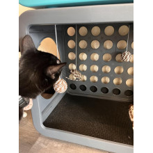 Будиночок для кішок Jolly Pets Кітті Каса Бедрум Кубик для відпочинку 39х30х42см Темно-сірий (KKR108)