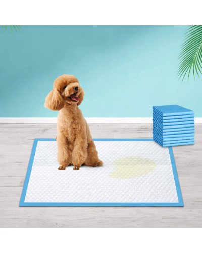 Гігієнічні пелюшки для собак Padovan Pet Pad 60x60 см 10 шт (PP00646)