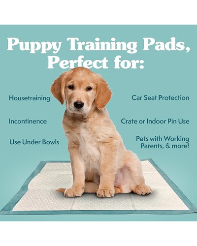 Пеленки Simple Solution X-Large Training Pads для собак 50шт 71х76см (ss11268)