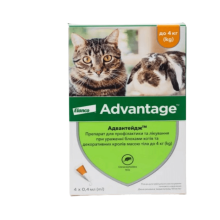 Краплі Elanco (Bayer) Advantage від бліх для котів кошенят і кроликів до 4 кг 