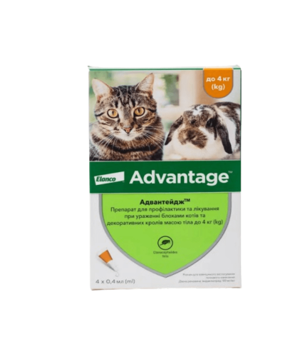 Краплі Elanco (Bayer) Advantage від бліх для котів кошенят і кроликів до 4 кг 