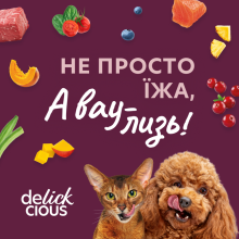 Delickcious набір вологого корму для собак 4 шт х 85 г - асорти