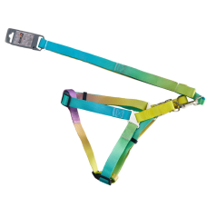 AnimAll Шлея+повідець, panton 2, 25/420-520/1800 мм