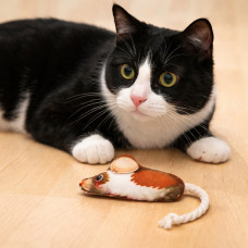 AnimAll Іграшка для котів Миша