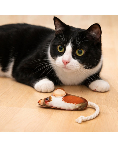 AnimAll Іграшка для котів Миша